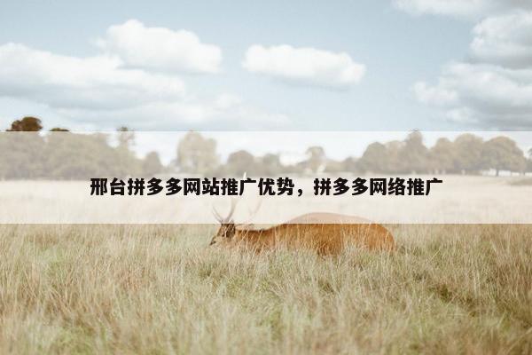 邢台拼多多网站推广优势，拼多多网络推广-第1张图片-冷动云