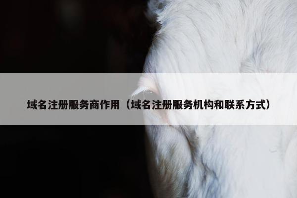 域名注册服务商作用（域名注册服务机构和联系方式）-第1张图片-冷动云