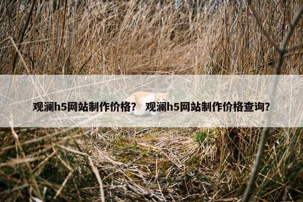 观澜h5网站制作价格？ 观澜h5网站制作价格查询？-第1张图片-冷动云