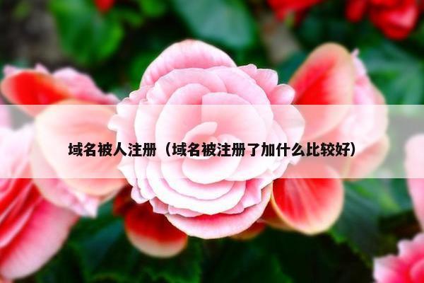 域名被人注册（域名被注册了加什么比较好）-第1张图片-冷动云