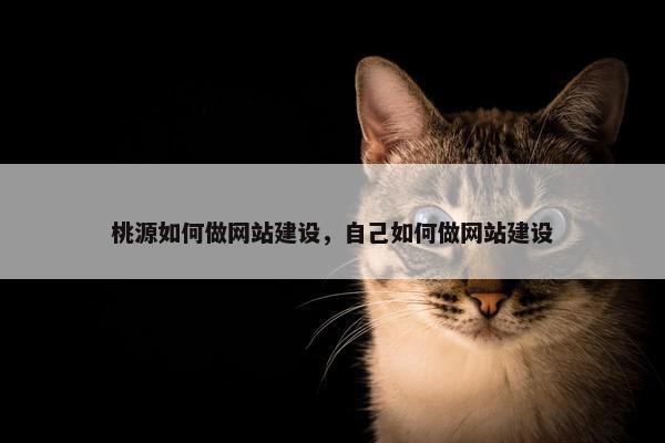 桃源如何做网站建设，自己如何做网站建设-第1张图片-冷动云