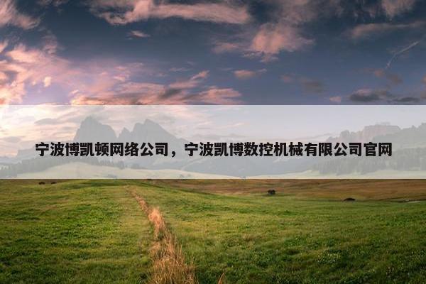 宁波博凯顿网络公司，宁波凯博数控机械有限公司官网-第1张图片-冷动云