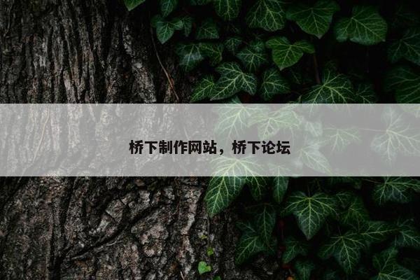 桥下制作网站，桥下论坛-第1张图片-冷动云