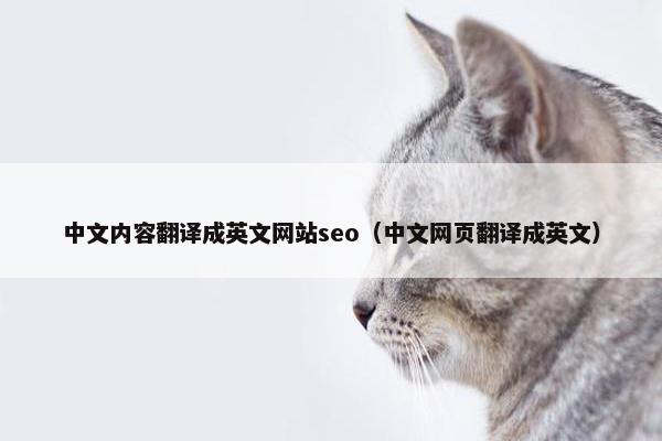 中文内容翻译成英文网站seo（中文网页翻译成英文）-第1张图片-冷动云