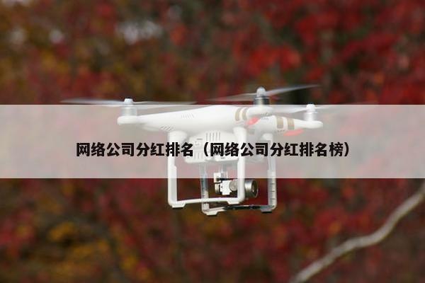 网络公司分红排名（网络公司分红排名榜）-第1张图片-冷动云