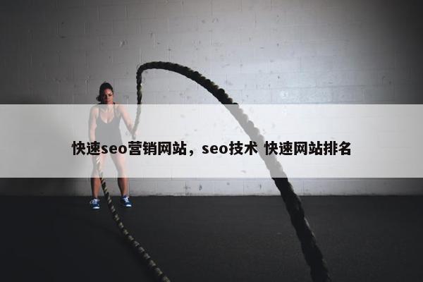 快速seo营销网站，seo技术 快速网站排名-第1张图片-冷动云