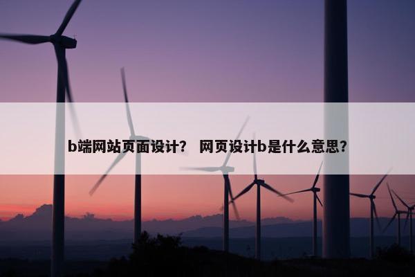 b端网站页面设计？ 网页设计b是什么意思？-第1张图片-冷动云