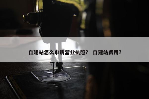 自建站怎么申请营业执照？ 自建站费用？-第1张图片-冷动云