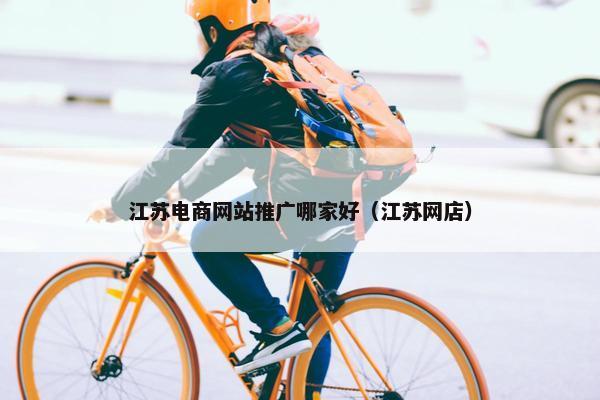 江苏电商网站推广哪家好（江苏网店）-第1张图片-冷动云