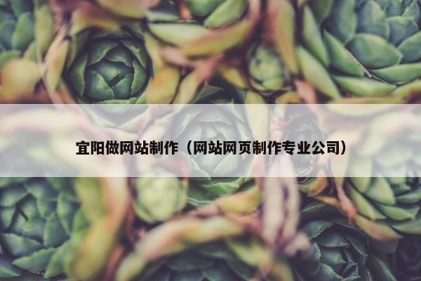宜阳做网站制作（网站网页制作专业公司）-第1张图片-冷动云
