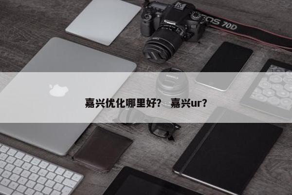 嘉兴优化哪里好？ 嘉兴ur？-第1张图片-冷动云