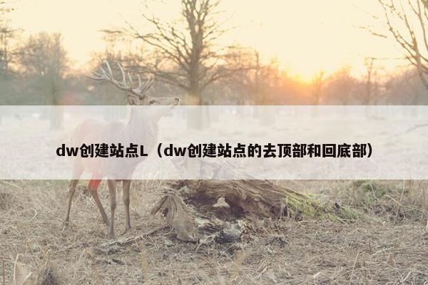 dw创建站点L（dw创建站点的去顶部和回底部）-第1张图片-冷动云