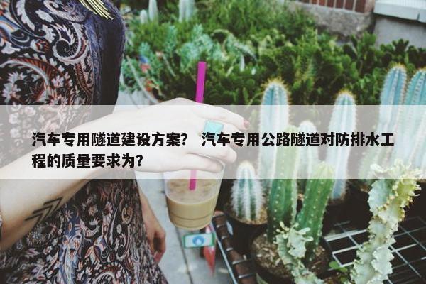 汽车专用隧道建设方案？ 汽车专用公路隧道对防排水工程的质量要求为？-第1张图片-冷动云