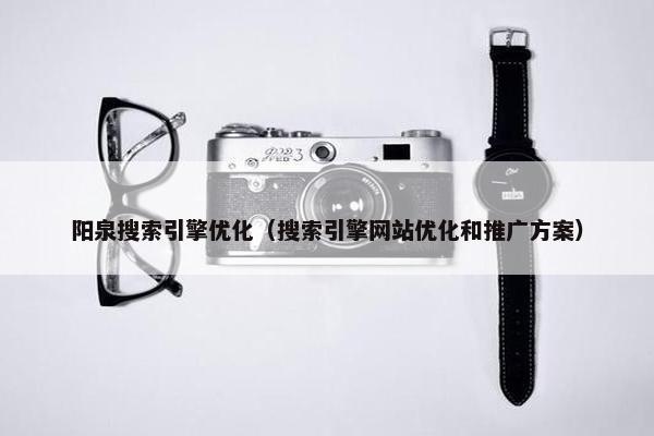 阳泉搜索引擎优化（搜索引擎网站优化和推广方案）-第1张图片-冷动云