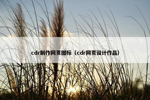 cdr制作网页图标（cdr网页设计作品）-第1张图片-冷动云