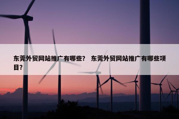 东莞外贸网站推广有哪些？ 东莞外贸网站推广有哪些项目？-第1张图片-冷动云