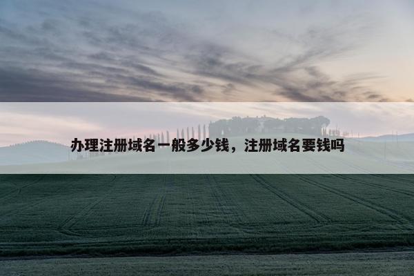 办理注册域名一般多少钱，注册域名要钱吗-第1张图片-冷动云