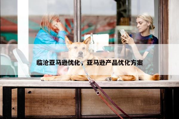 临沧亚马逊优化，亚马逊产品优化方案-第1张图片-冷动云