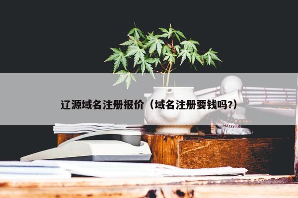 辽源域名注册报价（域名注册要钱吗?）-第1张图片-冷动云