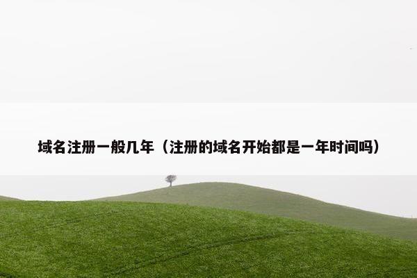 域名注册一般几年（注册的域名开始都是一年时间吗）-第1张图片-冷动云