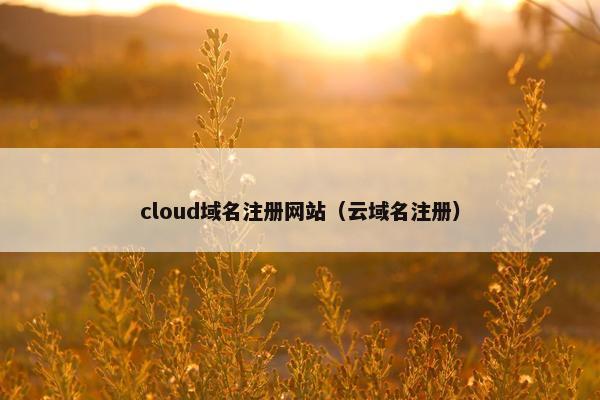 cloud域名注册网站（云域名注册）-第1张图片-冷动云