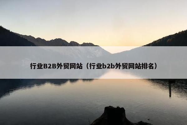 行业B2B外贸网站（行业b2b外贸网站排名）-第1张图片-冷动云