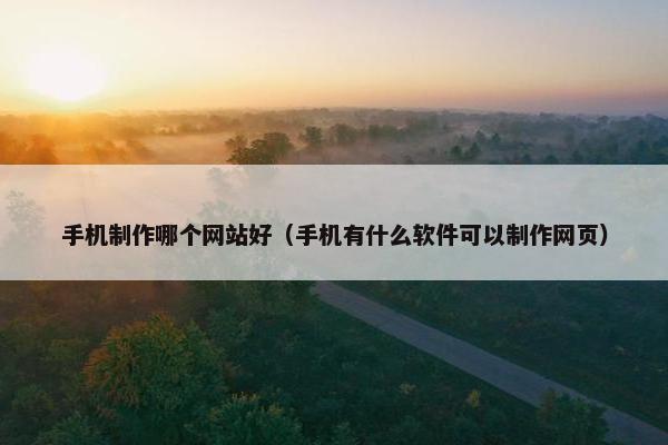 手机制作哪个网站好（手机有什么软件可以制作网页）-第1张图片-冷动云