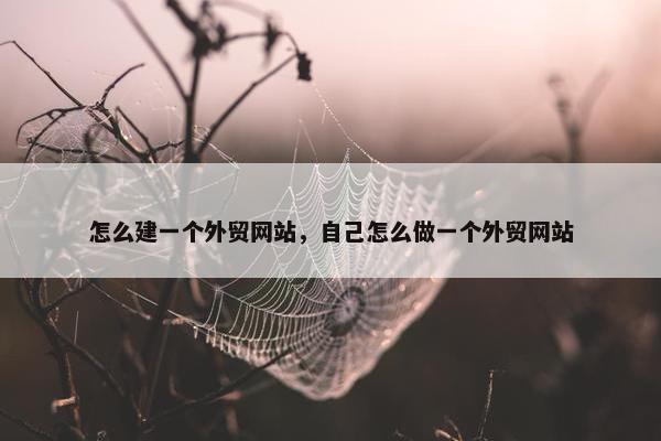 怎么建一个外贸网站，自己怎么做一个外贸网站-第1张图片-冷动云