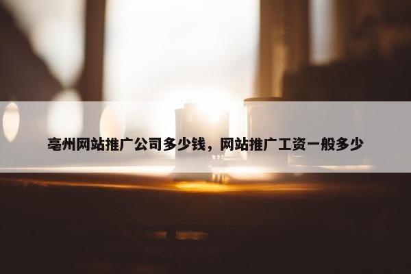 亳州网站推广公司多少钱，网站推广工资一般多少-第1张图片-冷动云