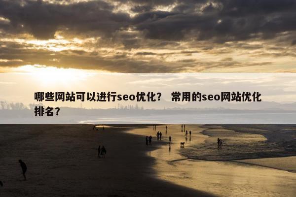 哪些网站可以进行seo优化？ 常用的seo网站优化排名？-第1张图片-冷动云