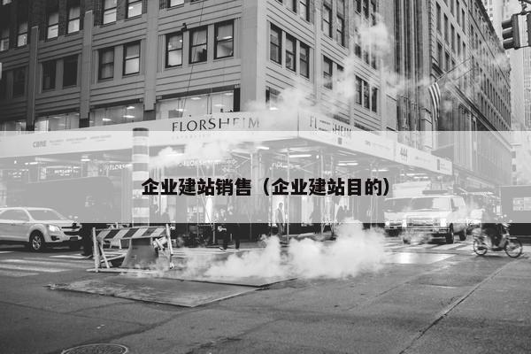 企业建站销售（企业建站目的）-第1张图片-冷动云