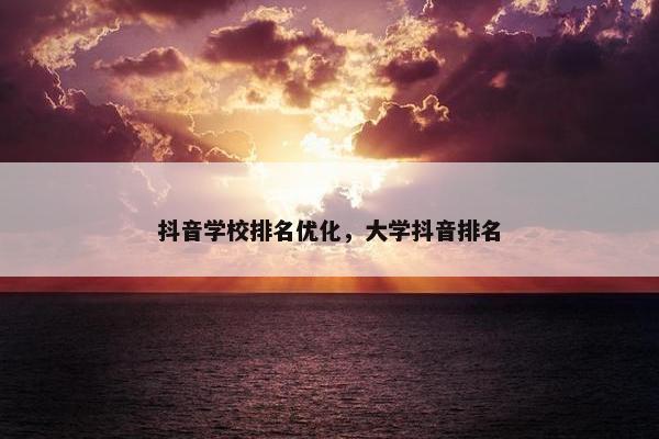 抖音学校排名优化，大学抖音排名-第1张图片-冷动云