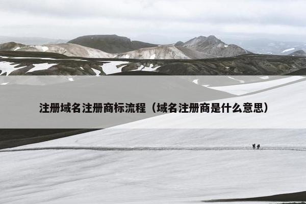 注册域名注册商标流程（域名注册商是什么意思）-第1张图片-冷动云