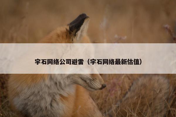 宇石网络公司避雷（宇石网络最新估值）-第1张图片-冷动云
