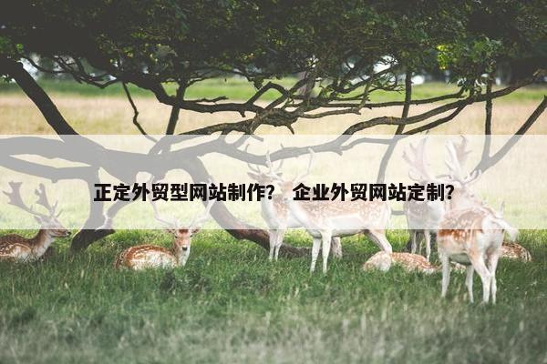 正定外贸型网站制作？ 企业外贸网站定制？-第1张图片-冷动云