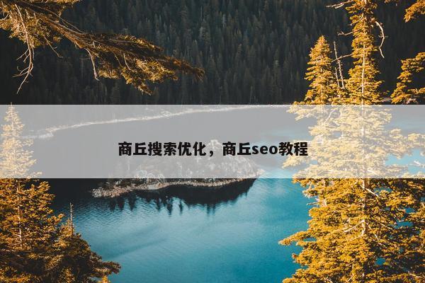 商丘搜索优化，商丘seo教程-第1张图片-冷动云