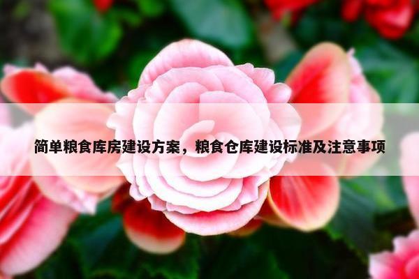 简单粮食库房建设方案，粮食仓库建设标准及注意事项-第1张图片-冷动云