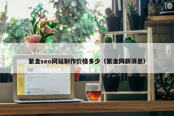 紫金seo网站制作价格多少（紫金网新消息）-第1张图片-冷动云