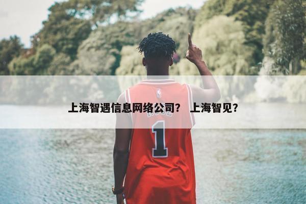 上海智遇信息网络公司？ 上海智见？-第1张图片-冷动云