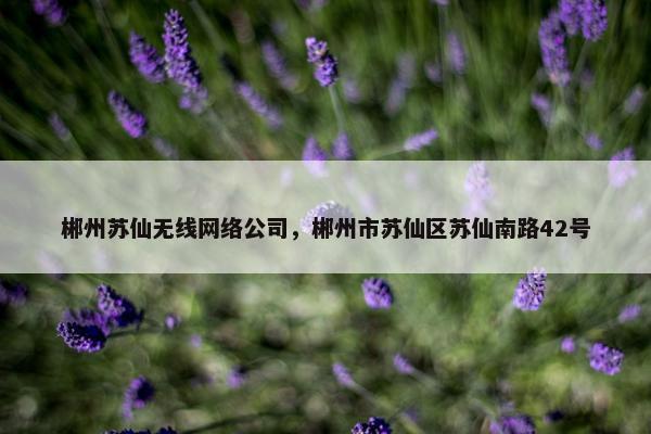 郴州苏仙无线网络公司，郴州市苏仙区苏仙南路42号-第1张图片-冷动云