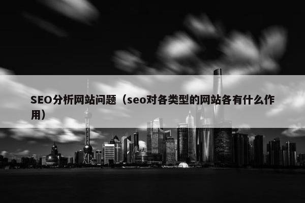 SEO分析网站问题（seo对各类型的网站各有什么作用）-第1张图片-冷动云