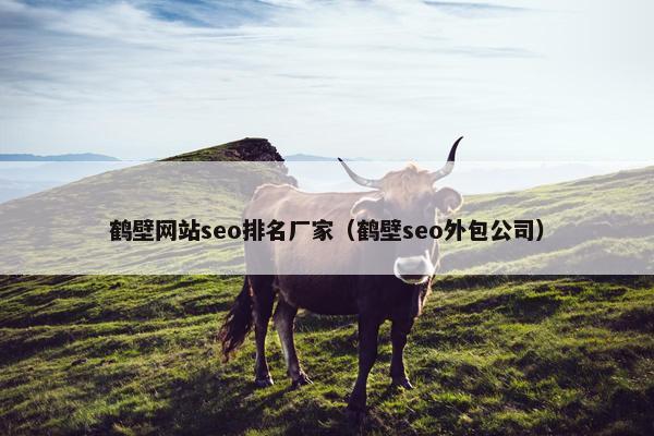 鹤壁网站seo排名厂家（鹤壁seo外包公司）-第1张图片-冷动云