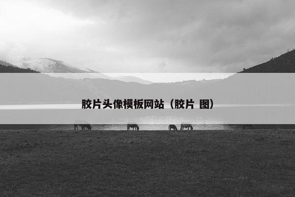 胶片头像模板网站（胶片 图）-第1张图片-冷动云