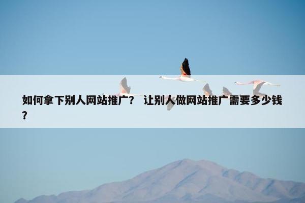 如何拿下别人网站推广？ 让别人做网站推广需要多少钱？-第1张图片-冷动云
