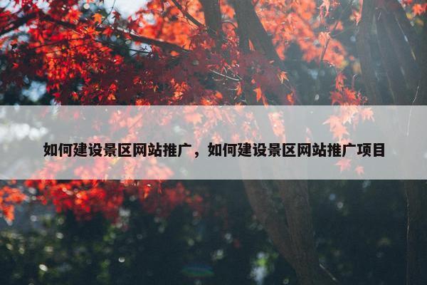 如何建设景区网站推广，如何建设景区网站推广项目-第1张图片-冷动云
