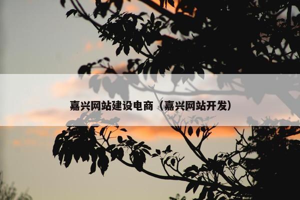 嘉兴网站建设电商（嘉兴网站开发）-第1张图片-冷动云