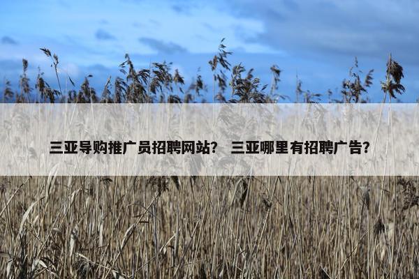 三亚导购推广员招聘网站？ 三亚哪里有招聘广告？-第1张图片-冷动云