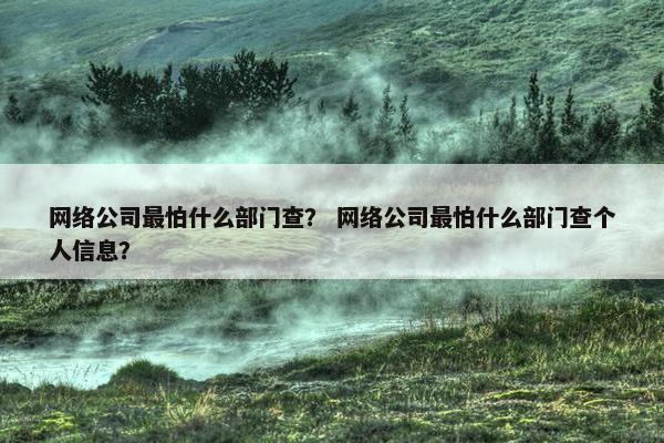 网络公司最怕什么部门查？ 网络公司最怕什么部门查个人信息？-第1张图片-冷动云