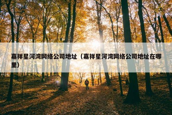 嘉祥星河湾网络公司地址（嘉祥星河湾网络公司地址在哪里）-第1张图片-冷动云