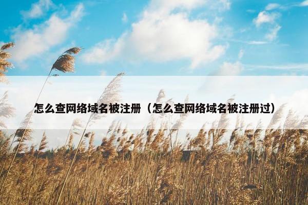 怎么查网络域名被注册（怎么查网络域名被注册过）-第1张图片-冷动云